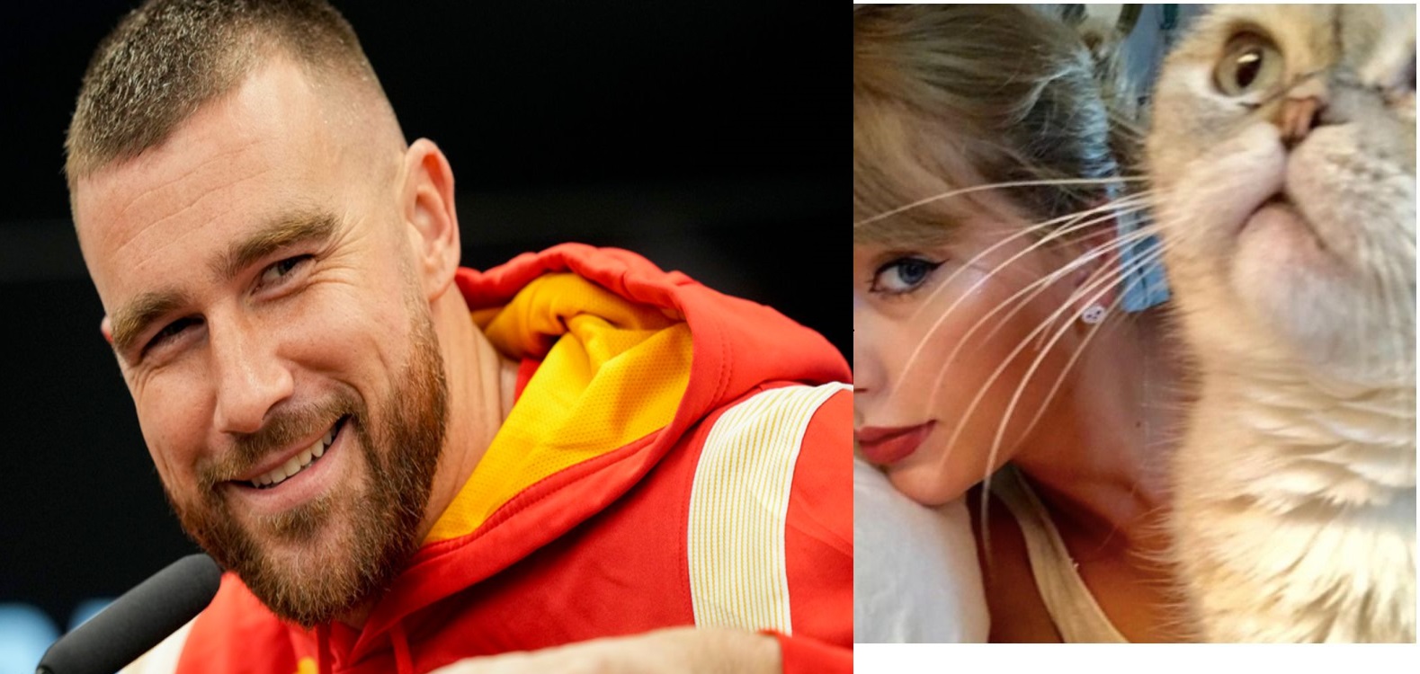 Taylor Swift gets the surprise of her life as Travis Kelce shocks her with a kitten.