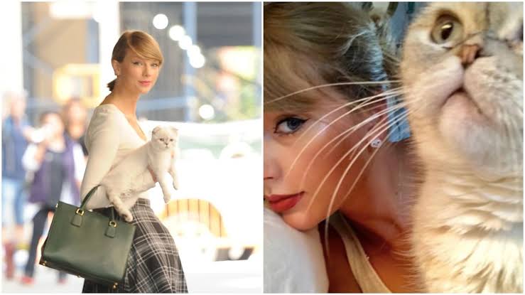 Taylor Swift Over the Moon: Travis Kelce's Adorable Kitten Gift Celebrates Their 1-Year Milestone "It's the best present I've gotten in 20 years" 