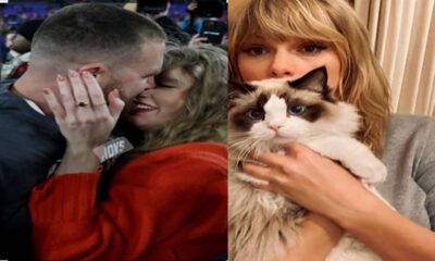 Taylor Swift reveals surprising explanation for naming her new kitten after boyfriend Travis Kelce.