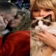 Taylor Swift reveals surprising explanation for naming her new kitten after boyfriend Travis Kelce.