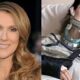 Breaking news: The world is in mourning over the loss of iconic Canadian singer Celine Dion, whose powerful voice and unforgettable performances touched millions. Dion, renowned for her remarkable talent and heartfelt music, has passed away, leaving behind a profound legacy that spans decades.