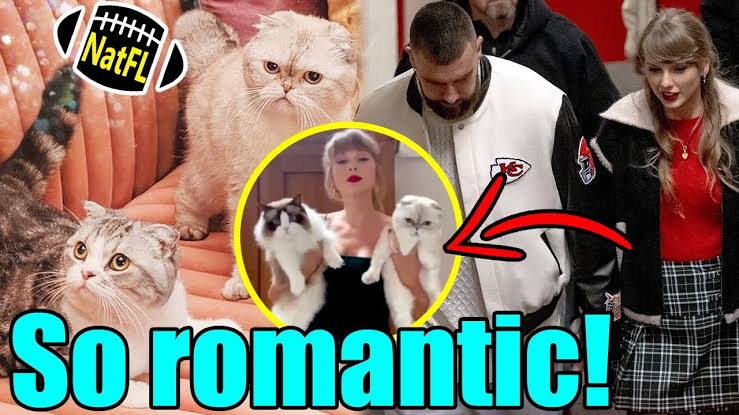 Taylor Swift Over the Moon: Travis Kelce's Adorable Kitten Gift Celebrates Their 1-Year Milestone "It's the best present I've gotten in 20 years"